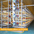 Fabricant Chine H Type Automatic Broiler Poultry Farm Cage Design